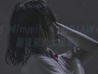 看这里！Mimmi(밈미)的DJAWA合集–猫咪派对大爆发？