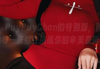 精选!PuyPuyChan的特别脚,图包里的每一张都在挑战你的审美极限。