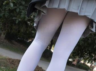 人生若只如初见，森萝财团的高清白色主题图集